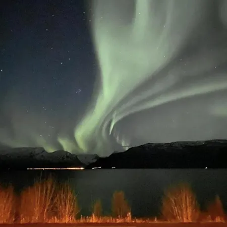 Lyngen